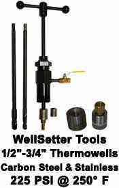 Thermowell Wellsetter Tool